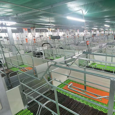 La Camera di maiale leggera della struttura d'acciaio ha galvanizzato i fabbricati rurali prefabbricati