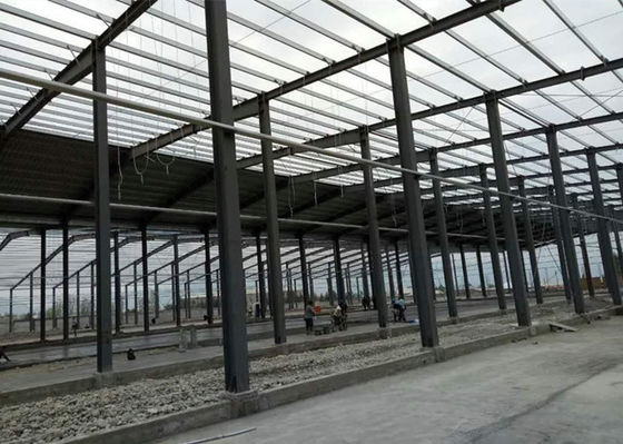 Il gruppo di lavoro della struttura di acciaio dell'industria 6000㎡ ha fabbricato la costruzione della fabbrica della struttura