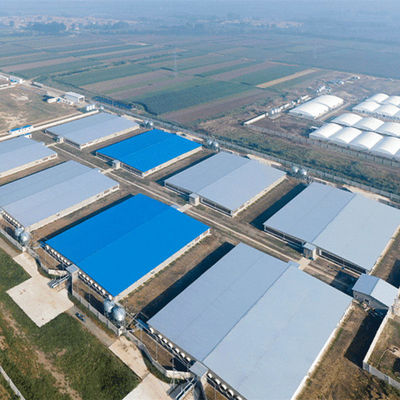 Pollaio d'acciaio a prova di fuoco GB dell'azienda agricola leggera della struttura d'acciaio