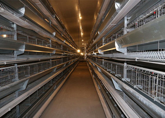 Gabbia di pollo antivento galvanizzata della struttura d'acciaio dell'azienda agricola della struttura d'acciaio