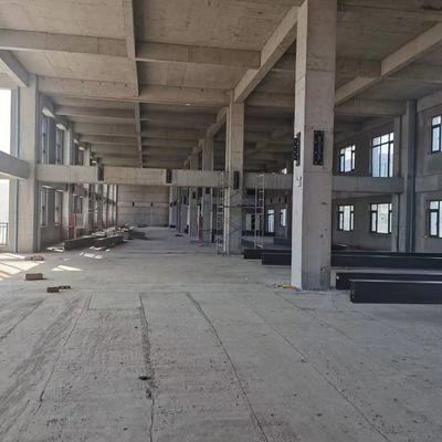 Gruppo di lavoro d'acciaio del H-fascio leggero prefabbricato: ㎡ 12000