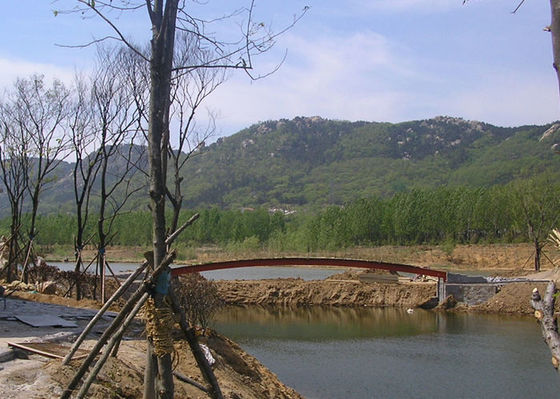 La costruzione di ponte della struttura d'acciaio di Q355B ha galvanizzato prefabbricato