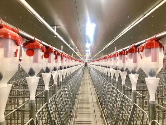 Il portale antivento della Camera di maiale della struttura d'acciaio ha prefabbricato la struttura d'acciaio ISO9001