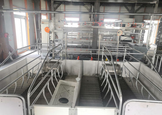 Camera di maiale antivento della struttura della costruzione portale d'acciaio prefabbricata della struttura