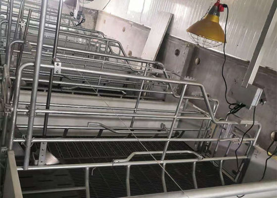 Camera di maiale antivento della struttura della costruzione portale d'acciaio prefabbricata della struttura