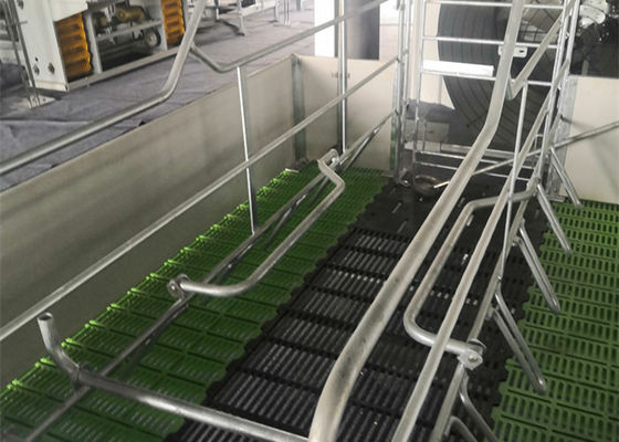 La Camera di maiale prefabbricata fabbricata della struttura d'acciaio ha galvanizzato l'industriale