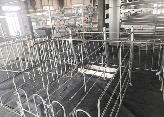 La Camera di maiale prefabbricata fabbricata della struttura d'acciaio ha galvanizzato l'industriale