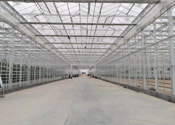 Serra da giardino in vetro temperato per piante verdi per grandi fiori ornamentali