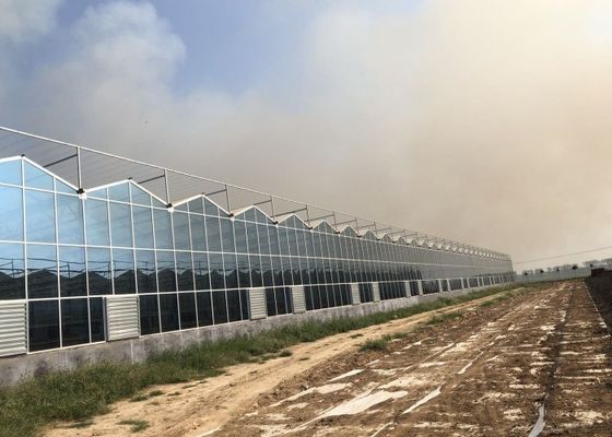 Serra da giardino in vetro temperato per piante verdi per grandi fiori ornamentali