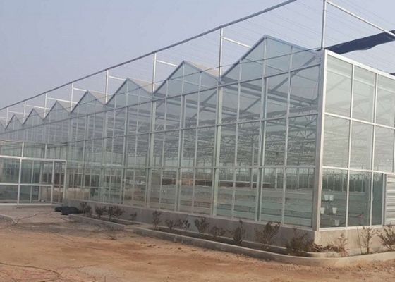 Annuncio pubblicitario della copertura di vetro della serra del tubo galvanizzato dell'alto grado