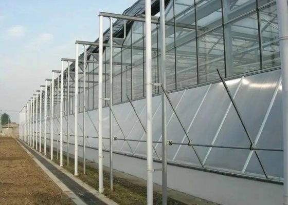 Annuncio pubblicitario della copertura di vetro della serra del tubo galvanizzato dell'alto grado