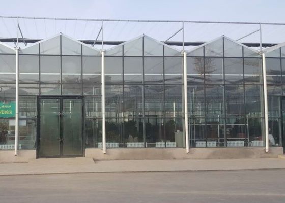 Annuncio pubblicitario del tubo galvanizzato serra di vetro di Venlo dell'alto grado