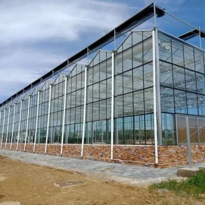 Piantatura a più strati di coltivazione della serra di vetro di verdure dell'idrocoltura