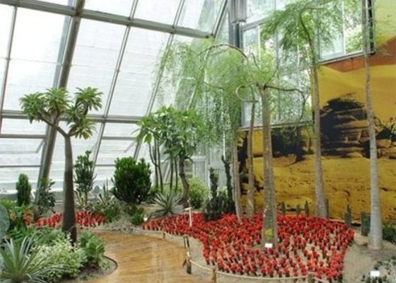 Winter Garden Sunlight Room Piccola serra in vetro Venlo in acciaio rilassata