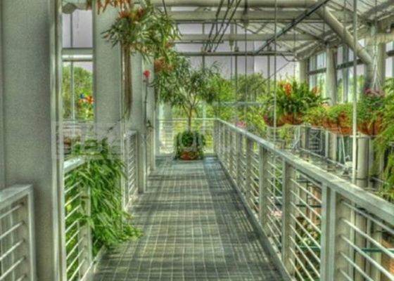 Ristorante facente un giro turistico galvanizzato a forma di 4600㎡ su ordinazione della serra del tubo