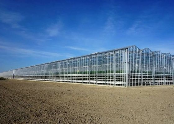 Visite turistiche Serra di vetro Venlo Serra a copertura di vetro a forma su misura