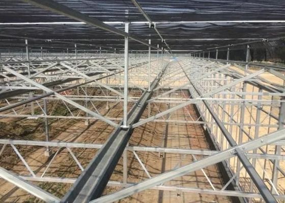 Visite turistiche Serra di vetro Venlo Serra a copertura di vetro a forma su misura