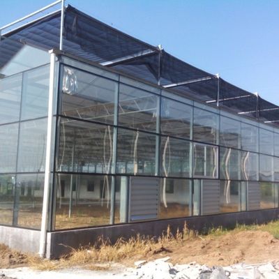 Serra di semina di vetro per ortaggi e pomodori ad alto rendimento