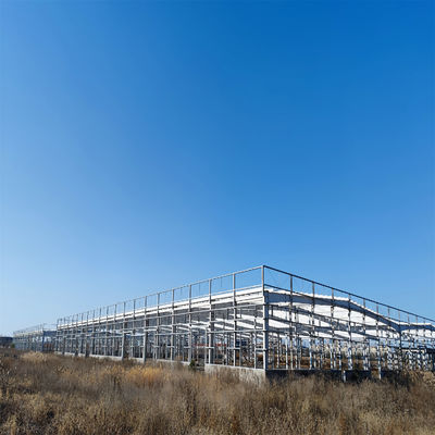 Struttura di acciaio struttura di costruzione struttura di metallo magazzino laboratorio