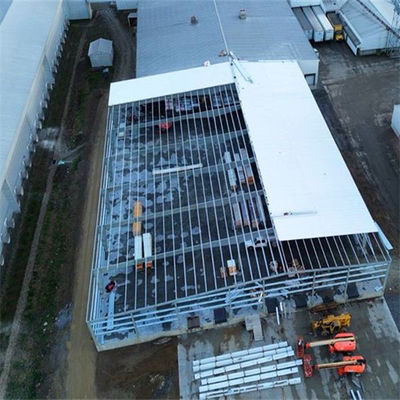 Q355/ Q235 Laboratorio di struttura in acciaio con sezione C / sezione Z