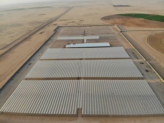 Uso per la piantagione agricola, serra in vetro panoramica Wannuo