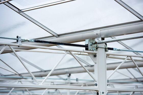 Uso per la piantagione agricola, serra in vetro panoramica Wannuo