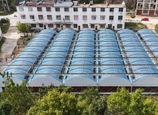 Serra a pellicola di polietilene a lunghezza continua utilizzata per aumentare la resa delle verdure e accelerare il processo di maturazione delle verdure