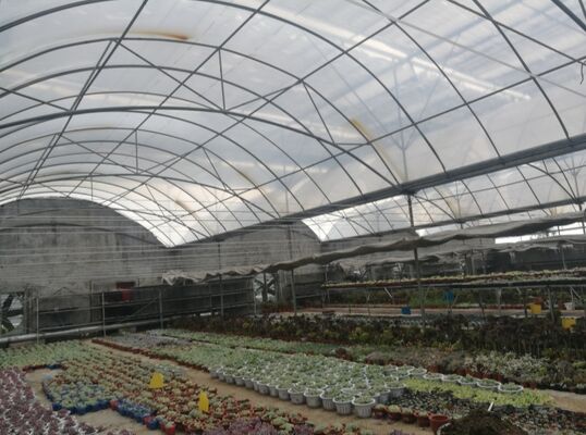 Serra a pellicola di polietilene a lunghezza continua utilizzata per aumentare la resa delle verdure e accelerare il processo di maturazione delle verdure