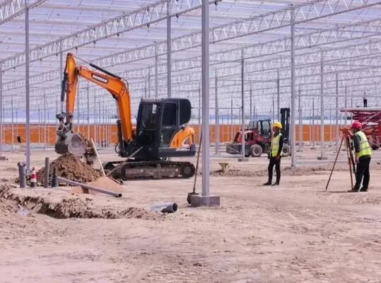 Serra a pellicola di polietilene per la coltivazione di fiori di alta qualità