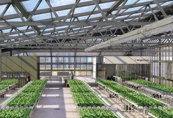 Serra di vetro turistica di Wenlu - Serra per la coltivazione di frutta su larga scala