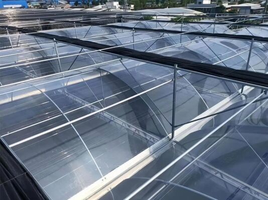 Serra di vetro turistica di Wenlu - Serra per la coltivazione di frutta su larga scala