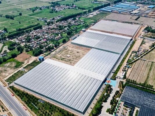 Serra per la coltivazione di frutta, grande serra in vetro per visite turistiche Woonloos