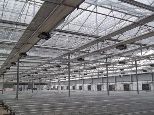 Serra per la coltivazione di frutta, grande serra in vetro per visite turistiche Woonloos