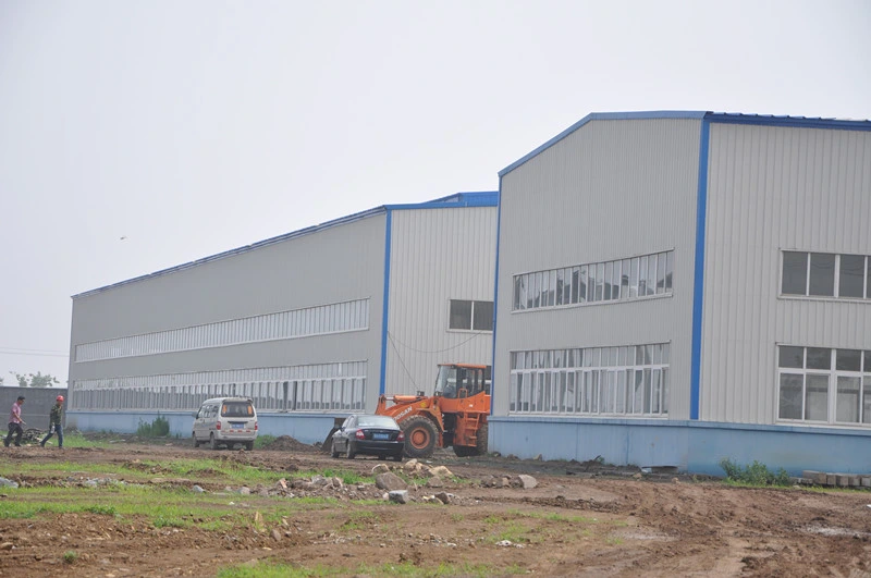 Dimensione su misura officina della costruzione della struttura di acciaio della sezione di H 2