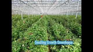 Flower cultivation greenhouse